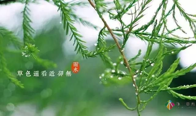 17種園林綠化種植技術(shù)及處理辦法，值得珍藏！