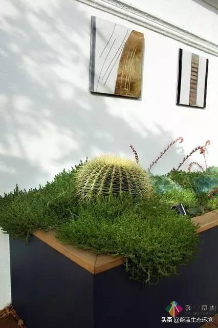屋頂花園設(shè)計(jì)規(guī)范及植物配置！值得珍藏