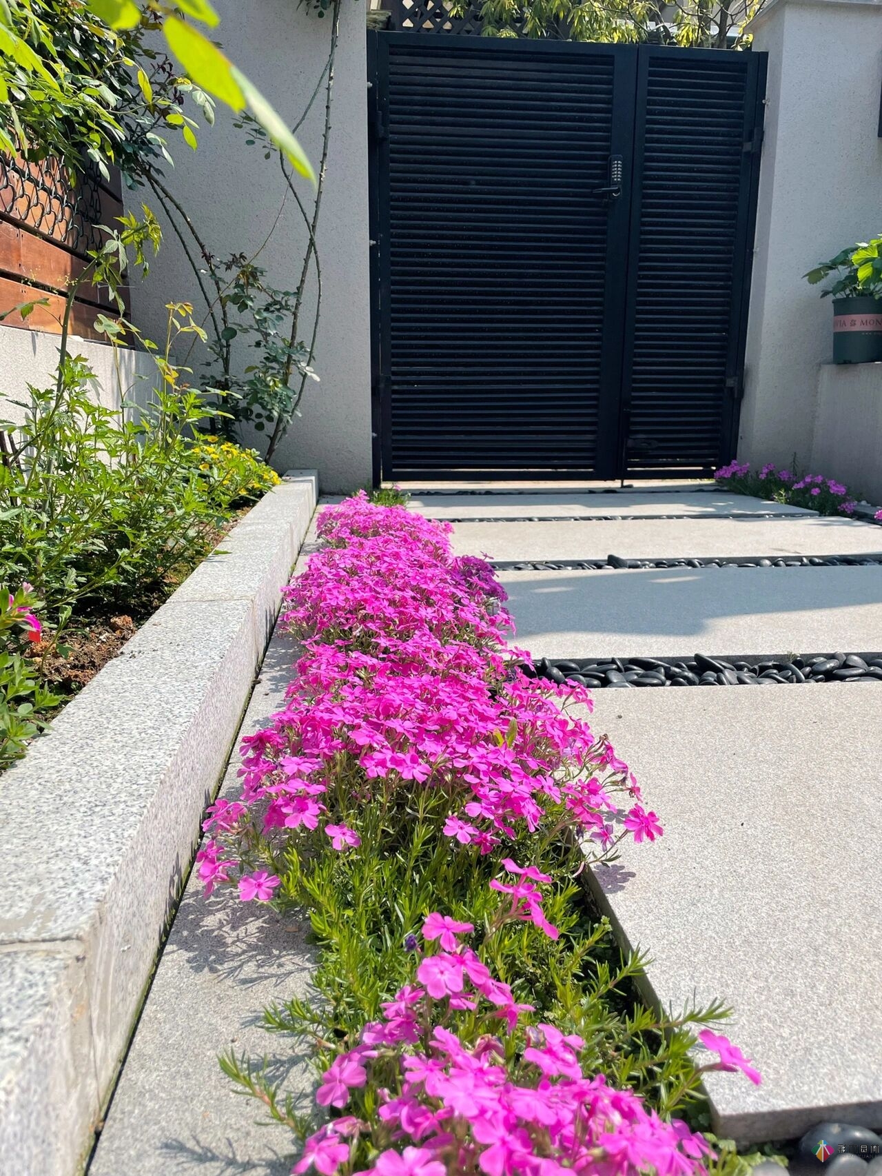 31歲的時(shí)候，用花園買了房子。折騰了300多天，滿園花開。
