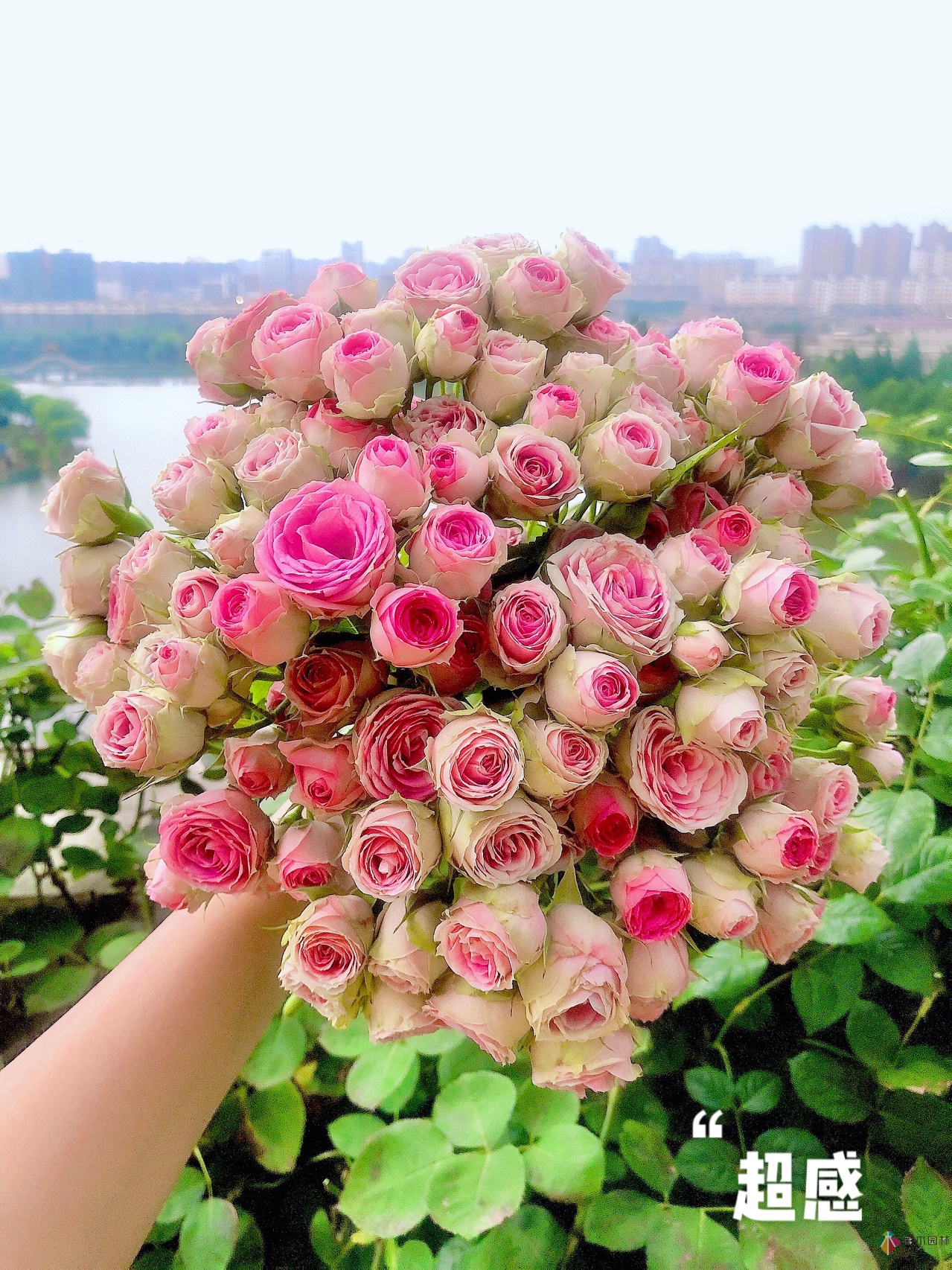 100㎡的復(fù)式露臺(tái)，半花半菜，有詩意，有生活，如此愜意。