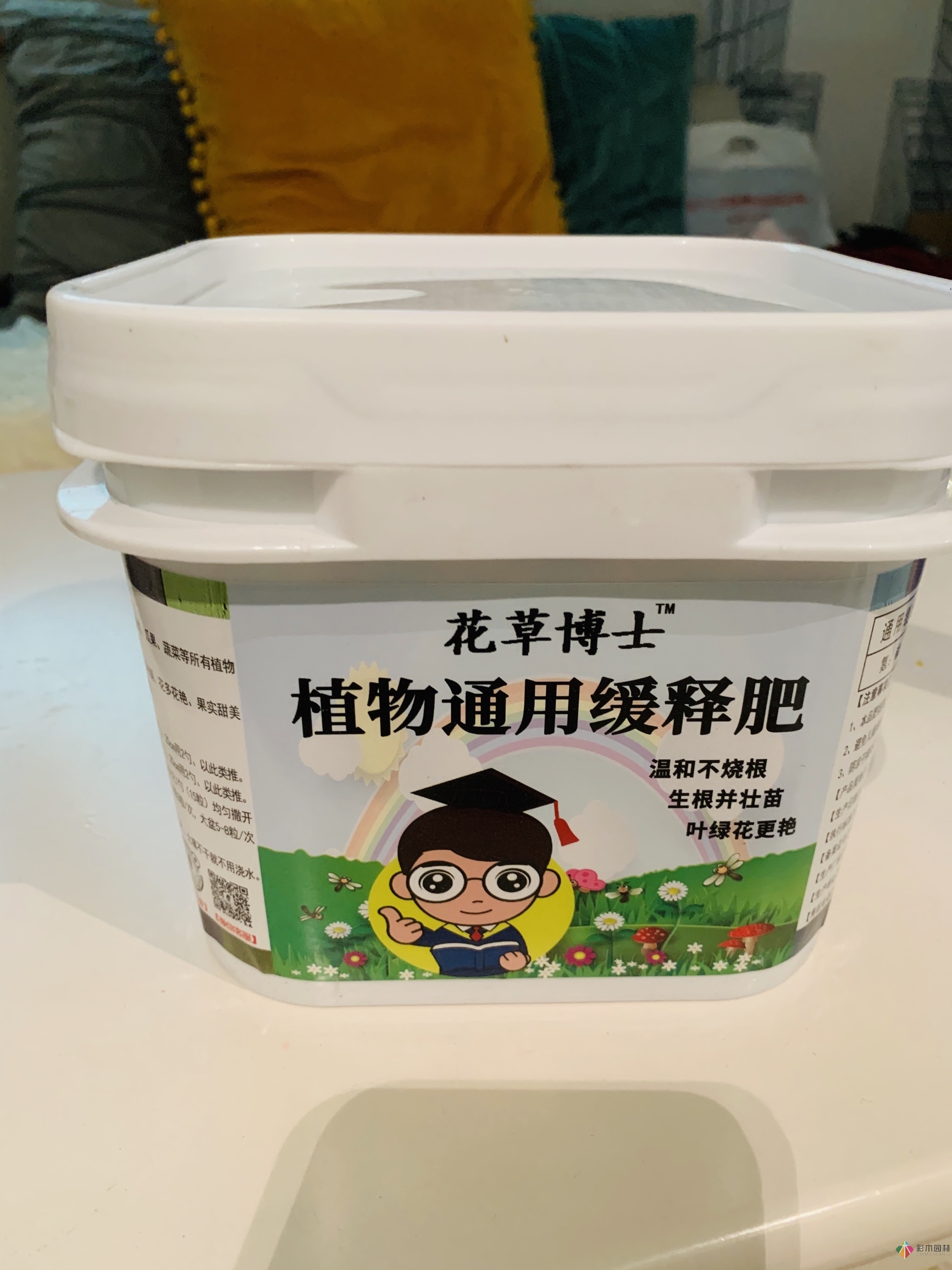 DIY園藝:自建設(shè)計100㎡花園。花不了多少錢，卻很有成就感。