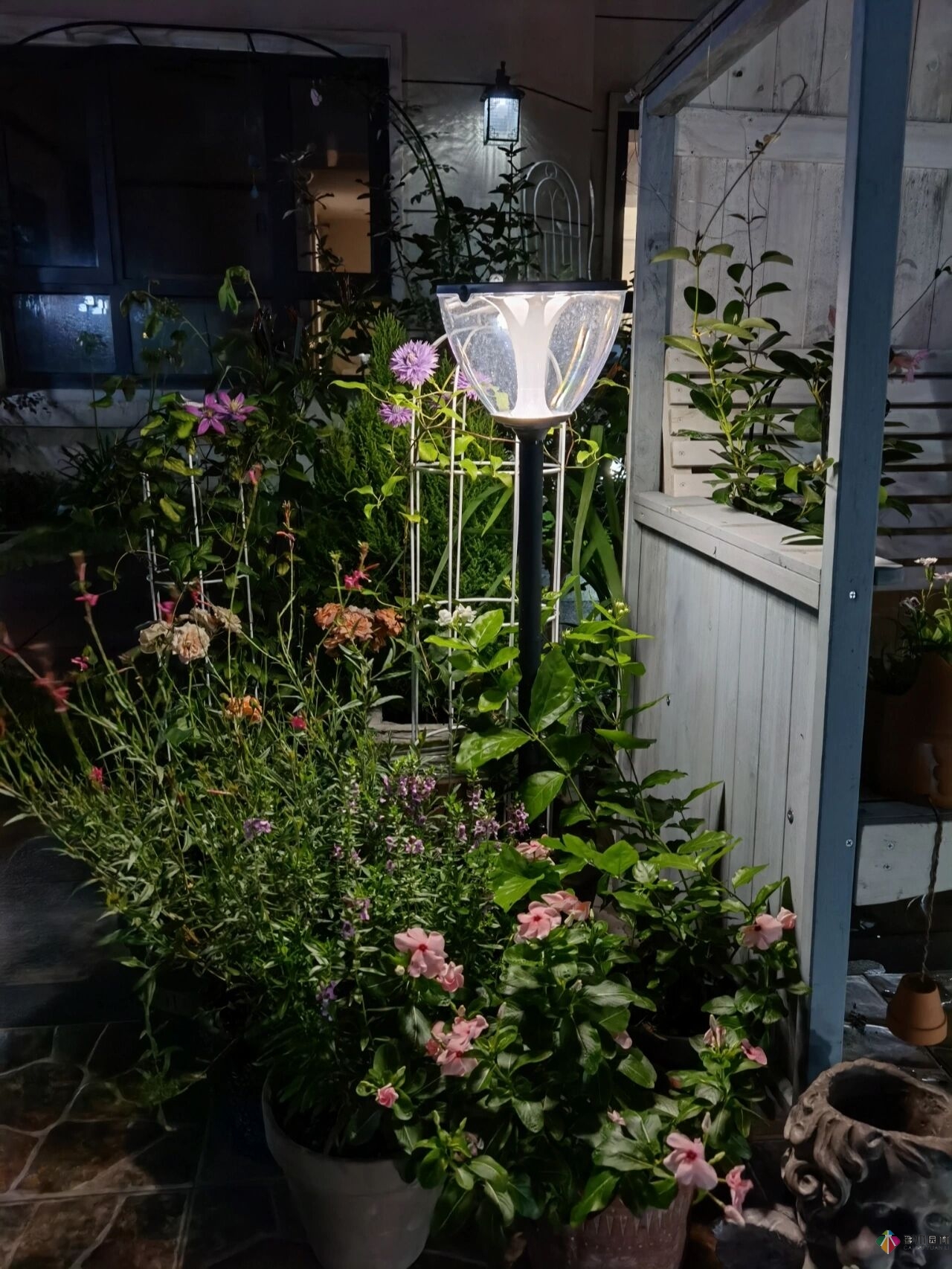不顧父母反對(duì)，買了一層110㎡的院子，自己一個(gè)人折騰成花園。就這么治好了。
