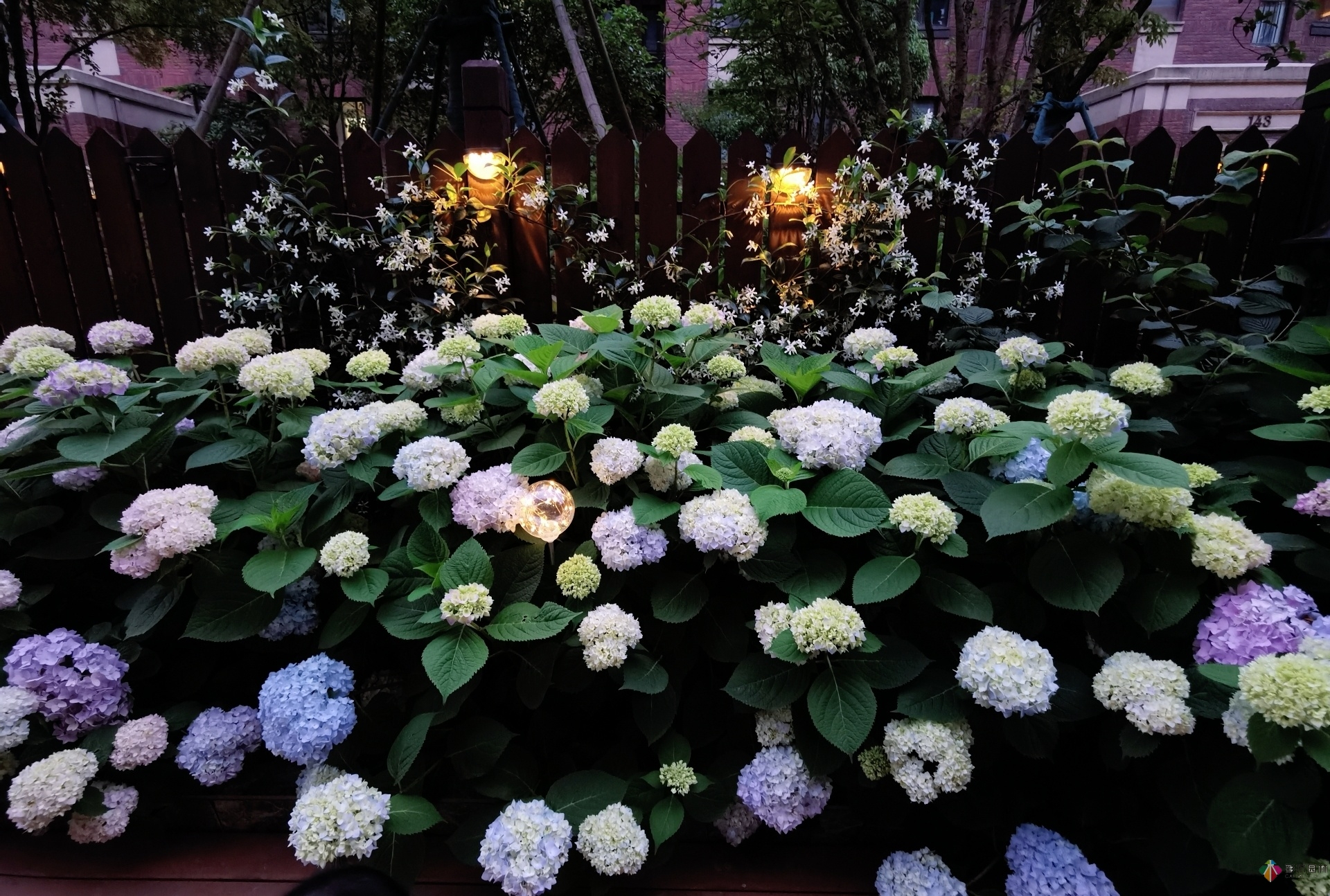 不顧父母反對(duì)，買了一層110㎡的院子，自己一個(gè)人折騰成花園。就這么治好了。
