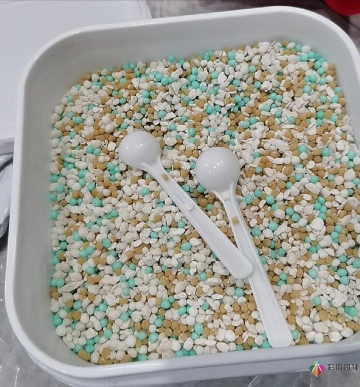 不顧父母反對(duì)，買了一層110㎡的院子，自己一個(gè)人折騰成花園。就這么治好了。
