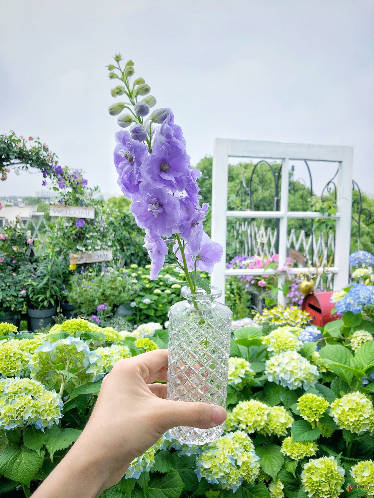 花了4年時(shí)間搭建了13㎡的屋頂露臺(tái)花園，每個(gè)角落都美如畫(huà)