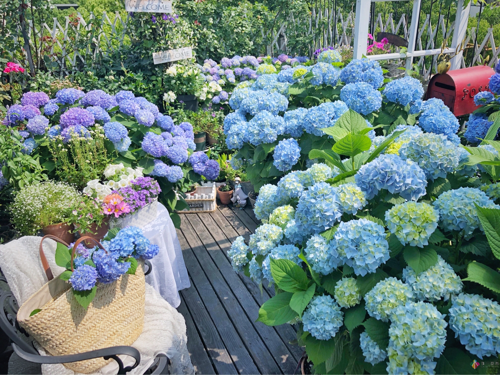 花了4年時(shí)間搭建了13㎡的屋頂露臺(tái)花園，每個(gè)角落都美如畫(huà)